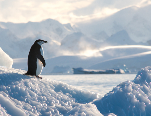 Antarctica