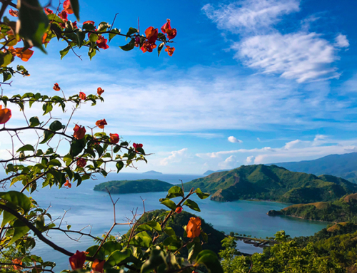 What You Need to Know Before Booking Your Next Cruise